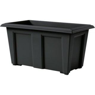 Regency Trough