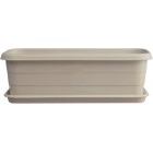 Terrace Trough