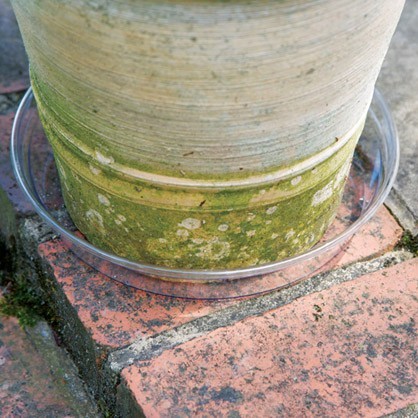 Clear Pots and Saucers