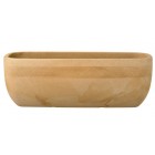 Aztec Trough