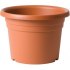 Cilindro