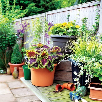 Planter Collection