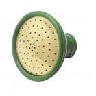 Coarse Brass Faced Rose