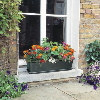 Trough & Trays