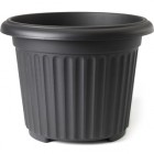 Corinthian Round