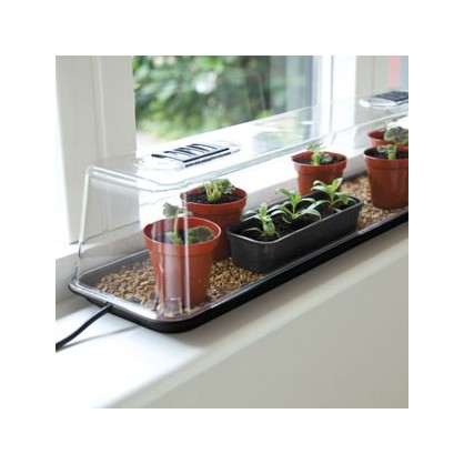 Kitchen Garden