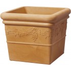 Grapes Square Sandstone