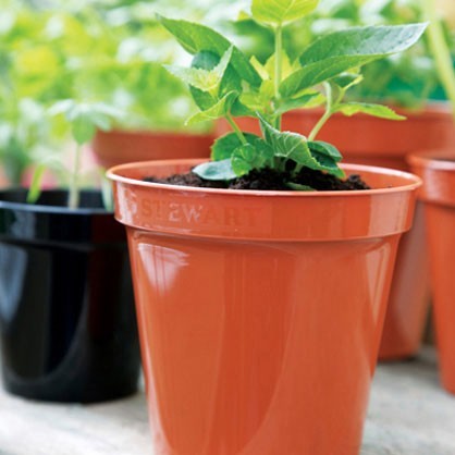 Premium Flower Pot Range