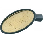 Oval Brass Faced Rose