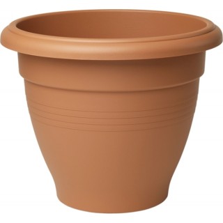Palladian