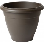 Palladian