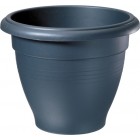 Palladian