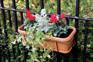 Balcony Trough Set