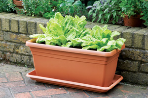 Deep Trough Tray