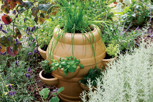 Strawberry/Herb Pot