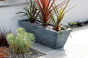Sylvan Trough