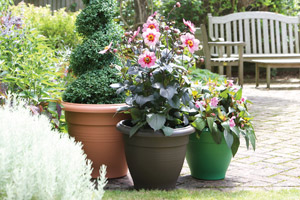 Display Palladian