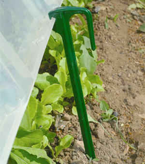 Cloche Pegs