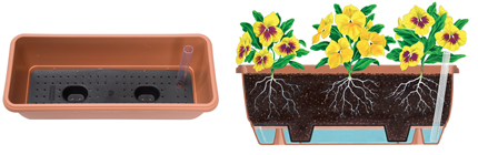 Self Watering System