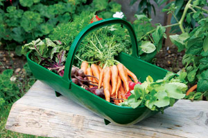 Trug