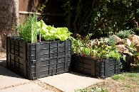 Grow In Box